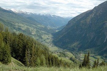 ... viele Kuven und eine herrliche Landschaft führt uns Richtung Cortina d'Ampezzo und weiter ...