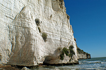 ... Vieste ...