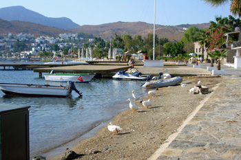 Türkbükü